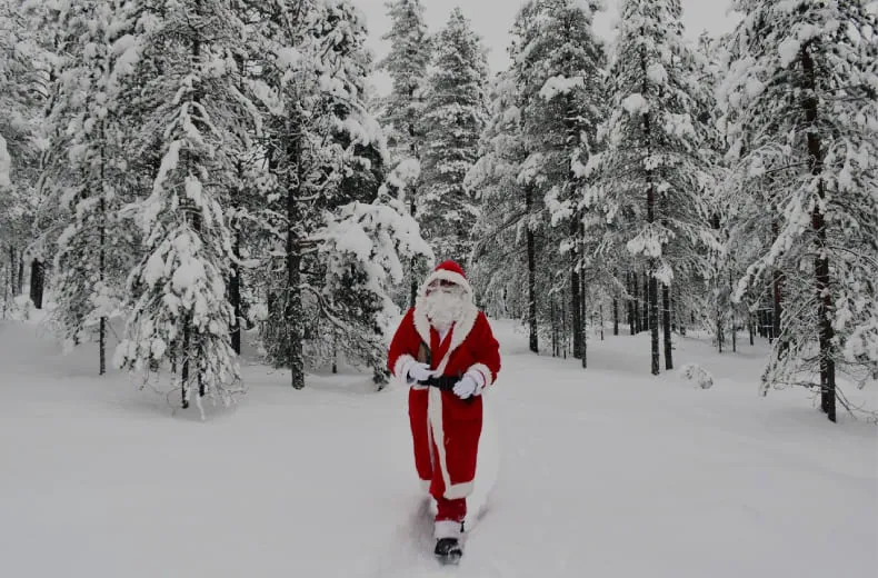 2023 Lapland Tours and travels by MineBooking
